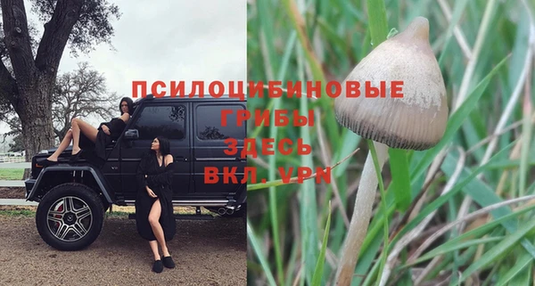 a pvp Армянск