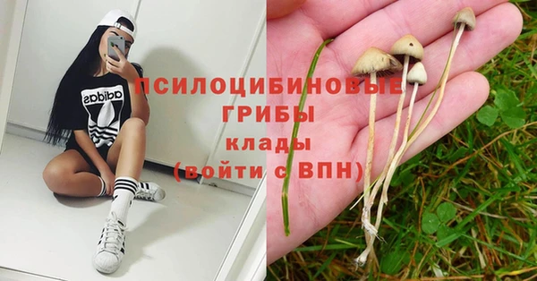 ECSTASY Балабаново