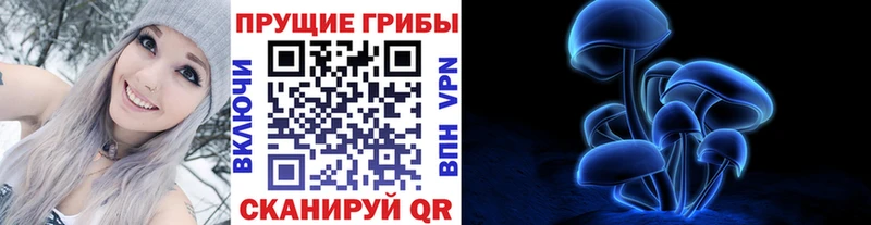цены наркотик  Белогорск  Галлюциногенные грибы Psilocybe 